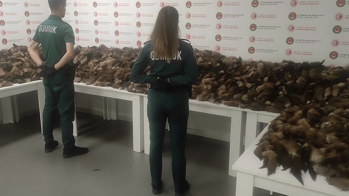 Obrovské množství z Moskvy pašovaných liščích ocasů zadrželi v Istanbulu